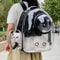 Transparent Cat Carrier Backpack Breathable Bubble Travel Backpack For Cats And Small Pets 7