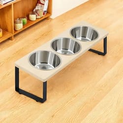 15 degree tilted elevated cat bowls with stainless steel feeding set for cats and puppies