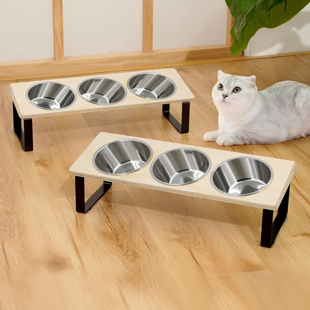 15 Degree Tilted Elevated Cat Bowls With Stainless Steel Feeding Set For Cats And Puppies 2