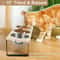 15 Degree Tilted Elevated Cat Bowls With Stainless Steel Feeding Set For Cats And Puppies 5