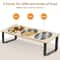 15 Degree Tilted Elevated Cat Bowls With Stainless Steel Feeding Set For Cats And Puppies 6