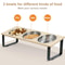 15 Degree Tilted Elevated Cat Bowls With Stainless Steel Feeding Set For Cats And Puppies 6