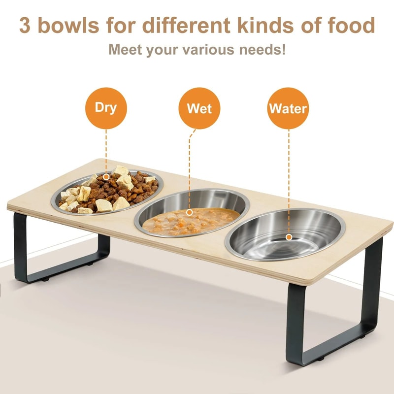 15 Degree Tilted Elevated Cat Bowls With Stainless Steel Feeding Set For Cats And Puppies 6