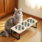15 Degree Tilted Elevated Cat Bowls With Stainless Steel Feeding Set For Cats And Puppies 1