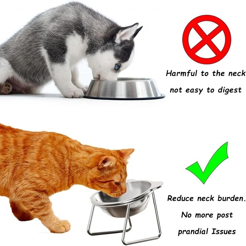 ComfortLift Elevated Cat Bowl Stainless Steel Tilted Pet Feeding Bowl For Cats And Puppies 7