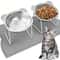 ComfortLift Elevated Cat Bowl Stainless Steel Tilted Pet Feeding Bowl For Cats And Puppies 8