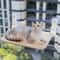SunnyNest Cat Window Hammock Foldable Plush Mesh Suction Cup Perch For Indoor Cats 10