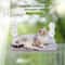 SunnyNest Cat Window Hammock Foldable Plush Mesh Suction Cup Perch For Indoor Cats 6