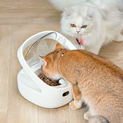petoneer nutricare smart pet feeder app controlled automatic cat and dog feeder for multi pet homes
