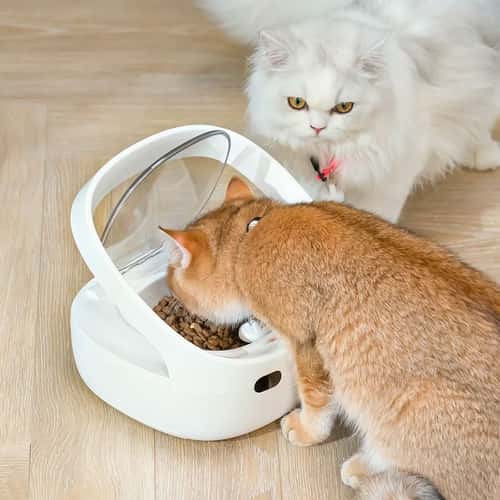 Petoneer NutriCare Smart Pet Feeder App Controlled Automatic Cat and Dog Feeder for Multi Pet Homes