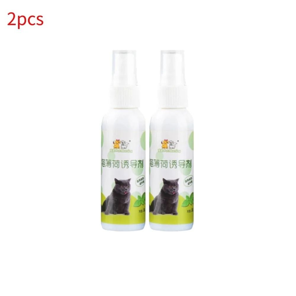 Natural Catnip Spray For Cats And Kittens Pet Training And Teeth Cleaning Support 2