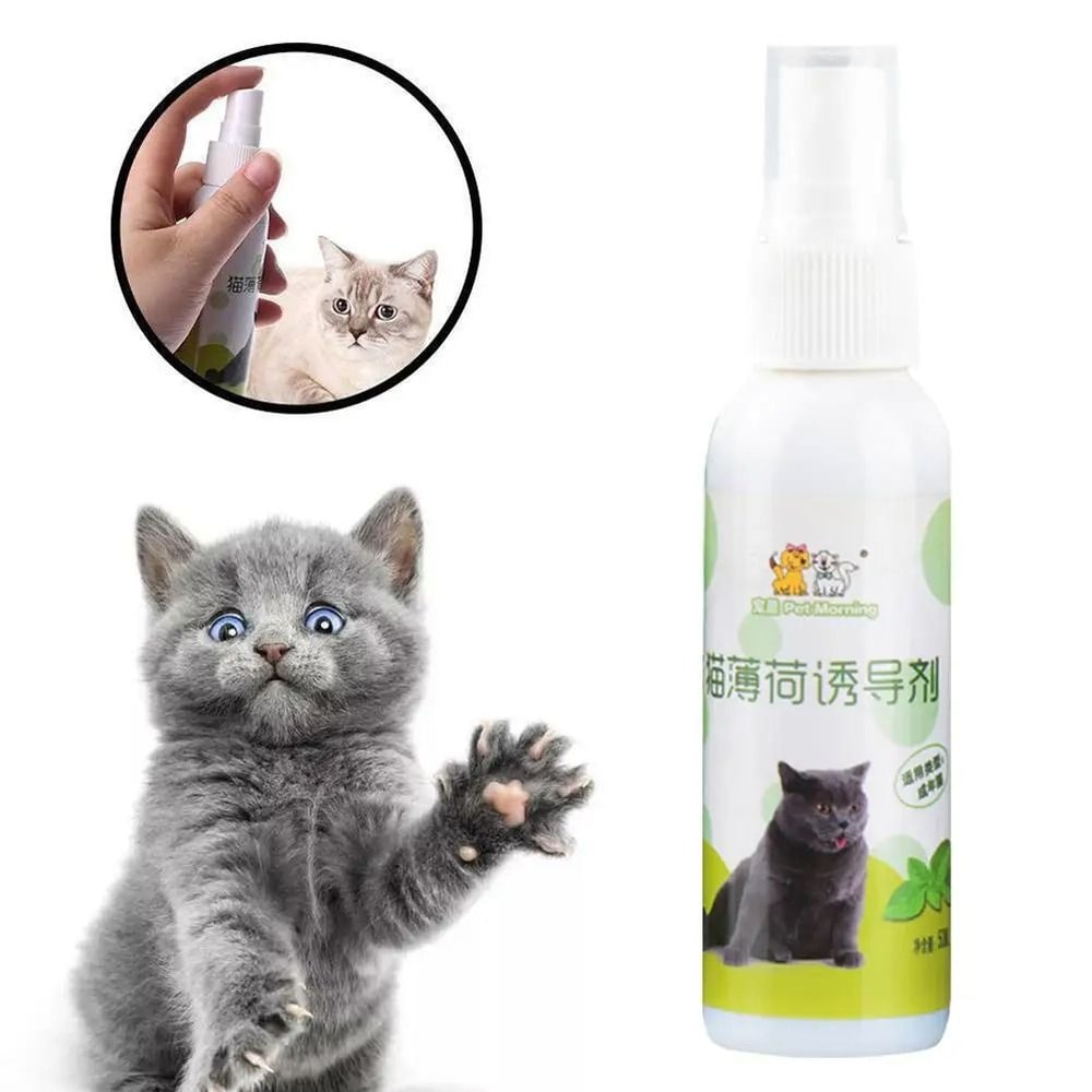 Natural Catnip Spray For Cats And Kittens Pet Training And Teeth Cleaning Support 9