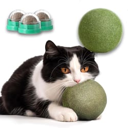 natural catnip balls lickable chew toy and snack for cats
