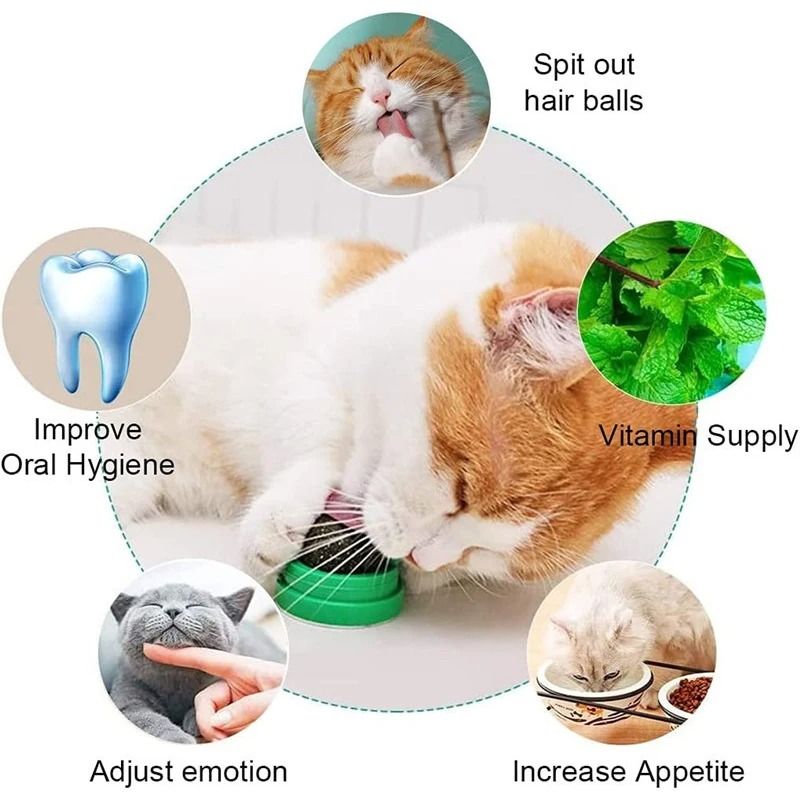Natural Catnip Balls Lickable Chew Toy And Snack For Cats 5