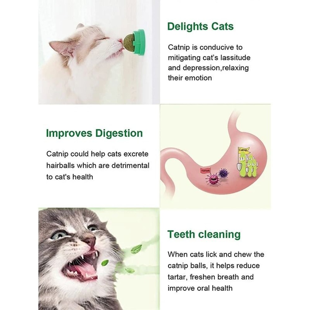 Natural Catnip Balls Lickable Chew Toy And Snack For Cats 6