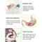 Natural Catnip Balls Lickable Chew Toy And Snack For Cats 6