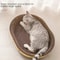 Oval Corrugated Cat Scratching Board And Lounge Bed For Indoor Cats 10