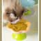 Ceramic Raised Cat Bowl With Flower Design And Elevated Stand 5