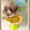 Ceramic Raised Cat Bowl With Flower Design And Elevated Stand 5