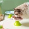 Ceramic Raised Cat Bowl With Flower Design And Elevated Stand 8