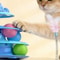 4 Layer Interactive Cat Turntable Toy With Feather Wand And Rolling Balls 5