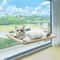 Ultra Soft Cat Window Hammock Bed Cozy Mounted Perch For Indoor Cats 5