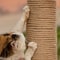 Natural Jute Rope Cat Scratcher Replacement For Cat Trees 4