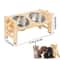 Adjustable Elevated Cat Bowl Stand With Silicone Feeding Mat 3