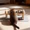 Adjustable Elevated Cat Bowl Stand With Silicone Feeding Mat 4
