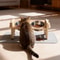 Adjustable Elevated Cat Bowl Stand With Silicone Feeding Mat 4