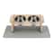Adjustable Elevated Cat Bowl Stand With Silicone Feeding Mat 2