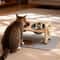 Adjustable Elevated Cat Bowl Stand With Silicone Feeding Mat 8