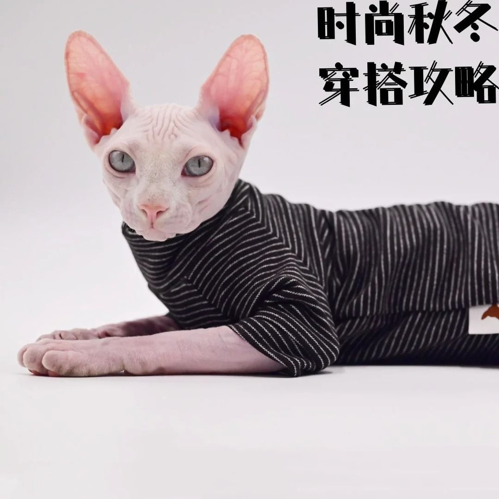 Cozy Four Legged Sphynx Cat Jacket For Hairless Cats 1