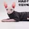 Cozy Four Legged Sphynx Cat Jacket For Hairless Cats 1