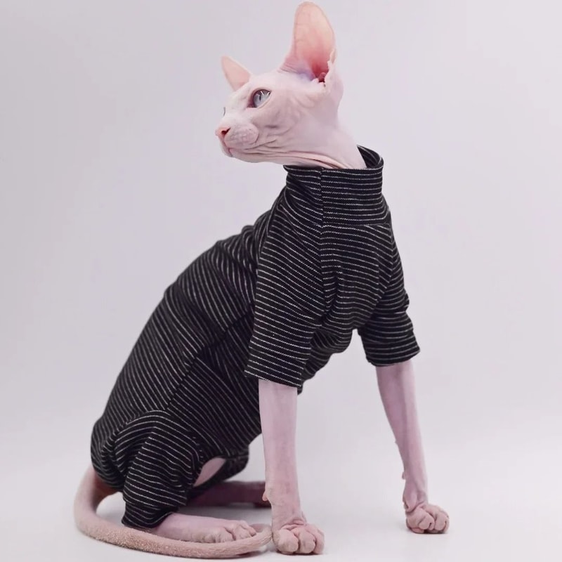 Cozy Four Legged Sphynx Cat Jacket For Hairless Cats 2