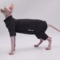 cozy four legged sphynx cat jacket for hairless cats