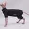 Cozy Four Legged Sphynx Cat Jacket For Hairless Cats 0