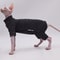 Cozy Four Legged Sphynx Cat Jacket For Hairless Cats 0