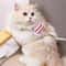 Adjustable Pet Harness And Leash Set For Cats And Small Dogs 9