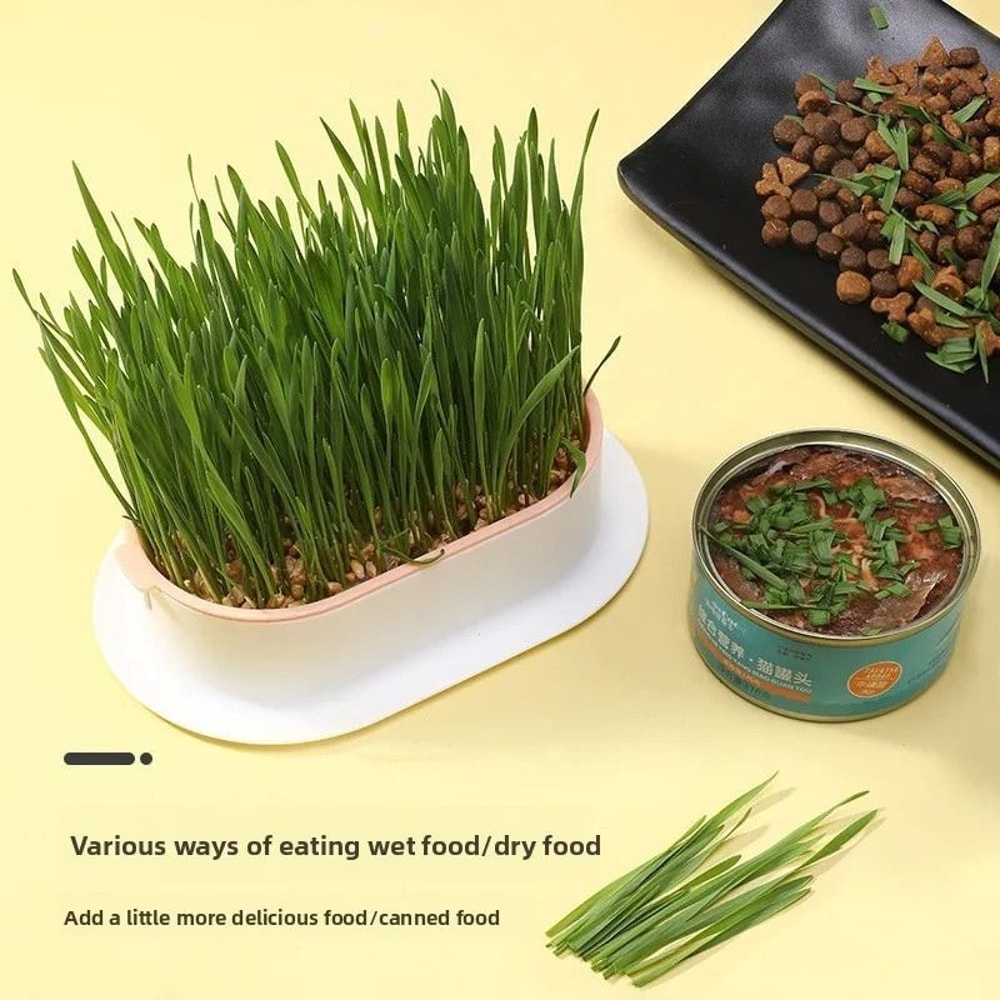 Hydroponic Cat Grass Growing Box For Indoor Cats 9