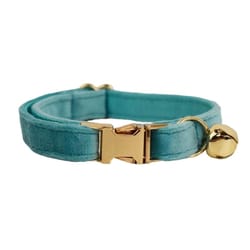 personalized velvet cat collar with name engraving and bell
