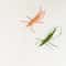 Woolen Catnip Prawn Toy For Interactive Cat Play 5