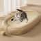 Sisal Cat Scratcher Lounge Board With Interactive Ball Toy 6
