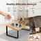 Raised Cat Bowls With Stainless Steel Dishes And Tilted Feeding Stand 5