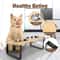 Raised Cat Bowls With Stainless Steel Dishes And Tilted Feeding Stand 6
