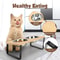 Raised Cat Bowls With Stainless Steel Dishes And Tilted Feeding Stand 6
