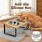 Raised Cat Bowls With Stainless Steel Dishes And Tilted Feeding Stand 7