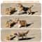Adjustable Elevated Pet Feeder With Stainless Steel Bowls For Cats And Small Dogs 5