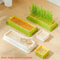 Soilless Cat Grass Growing Kit Layered Seed Germination Tray For Indoor Cats 10