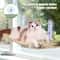 Foldable Window Cat Hammock With Suction Cups Suspended Cat Bed For Indoor Cats 9